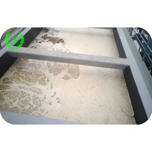 三項渦流氣浮運行效果